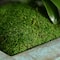 SuperMoss® Preserved Sheet Moss